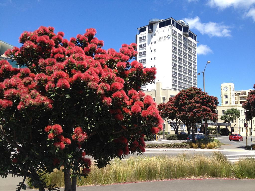 Bay Plaza Hotel Веллингтон Экстерьер фото